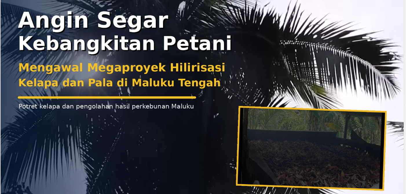 Angin Segar Kebangkitan Petani: Mengawal Megaproyek Hilirisasi Kelapa dan Pala di Maluku Tengah