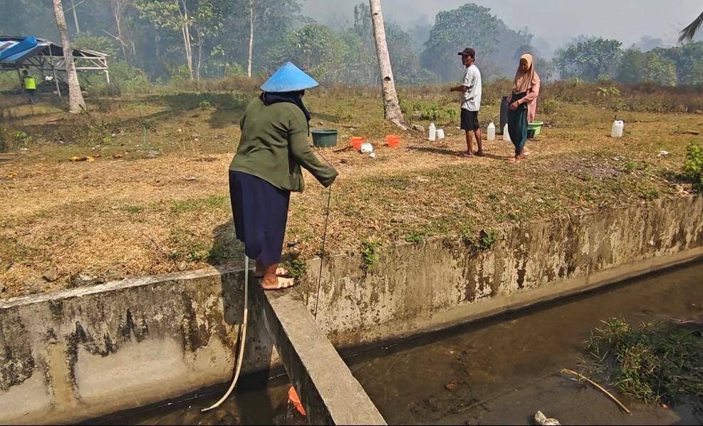 Si Jago Merah Mengamuk di Buru, Warga Padamkan Api Pakai Ember & Jerigen