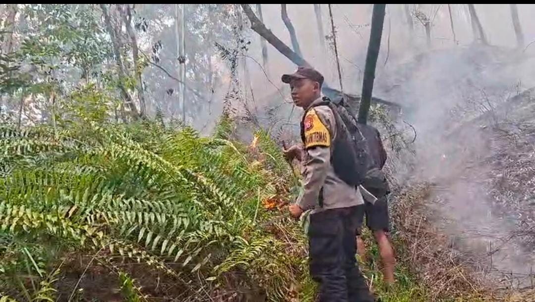 KEBAKARAN LAHAN LANDA DUA DESA DI BURU